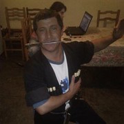  ,   Slavaesartia, 51 ,   