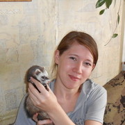 ���������� ������������, ���� ������� �������, 37 ���, ������������ ��� ������, ����� � ���������, c�������� ���������