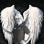  ,   ˸, 46 ,   ,   