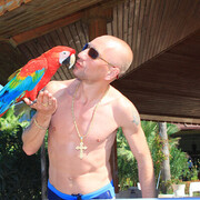 ���������� ������, ���� ������� ����, 48 ���, ������������ ��� ������