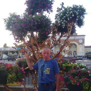  ,   , 51 ,   , 