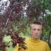  ,   Kiril pinzar, 29 ,   , 