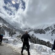 ���������� ����������, ���� ������� ������, 39 ���, ������������ ��� ���������