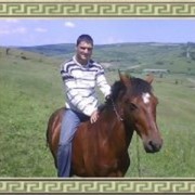  ,   , 40 ,   