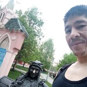 ���������� ���������, ���� ������� Tvoi son, 35 ���, ������������ ��� ������, ����� � ���������