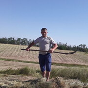  --,   , 46 ,   ,   , c , 