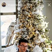 ���������� �������, ���� ������� �������, 40 ���, ������������ ��� ������, ����� � ���������