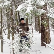 ���������� ������, ���� ������� � �����, 37 ���, ������������ ��� ������, ����� � ���������