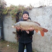 ���������� ������, ���� ������� ���������, 65 ���, ������������ ��� ����� � ���������, c�������� ���������