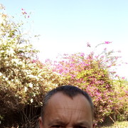  ,   , 56 ,   ,   , c 