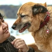 ���������� ������, ���� ������� �����, 32 ����, ������������ ��� ����� � ���������, c�������� ���������