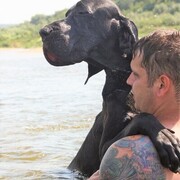 ���������� ������, ���� ������� ��������, 37 ���, ������������ ��� ������, ����� � ���������