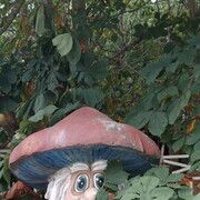 ���������� ������, ���� ������� ����, 50 ���, ������������ ��� ������, ����� � ���������, ���������