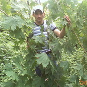  ,  vil, 39