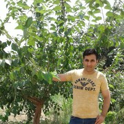  ,   CEMIL, 36 ,   ,   , c 