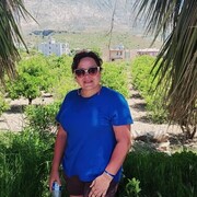 ���������� �������, ���� ������� ������, 45 ���, ������������ ��� ����� � ���������, c�������� ���������