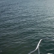  -,   , 39 ,   ,   , 