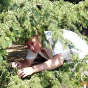 ���������� �����, ���� ������� ���������, 38 ���, ������������ ��� ������, ����� � ���������, c�������� ���������