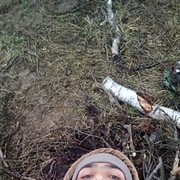  ,   Ibragim, 39 ,   ,   , c , 