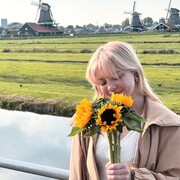 ���������� �������, �����