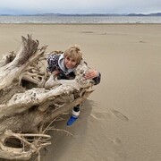 ���������� ����������, ���� ������� ���������, 59 ���, ������������ ��� ����� � ���������, c�������� ���������