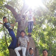  ,   , 44 ,   ,   , c 