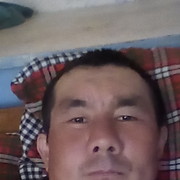  ,  , 41