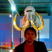 ���������� �����, ���� ������� ��������, 33 ����, ������������ ��� ������