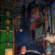 ���������� ���������, ���� ������� �����, 35 ���, ������������ ��� c�������� ���������, ���������