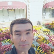 ���������� ������, ���� ������� Ozod, 33 ����, ������������ ��� ������, ����� � ���������