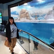  ,   , 55 ,   ,   