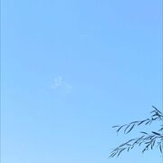 ���������� �����, ���� ������� �������, 58 ���, ������������ ��� ���������