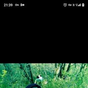 ,   , 28 ,   c , 