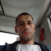 ���������� �����������, ���� ������� ��������, 46 ���, ������������ ��� ����� � ���������, c�������� ���������, ���������