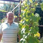  ,   , 57 ,   ,   