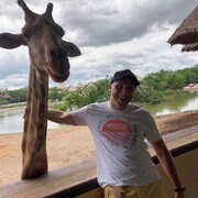 ���������� ������, ���� ������� ������, 36 ���, ������������ ��� ������, ����� � ���������, c�������� ���������, ���������