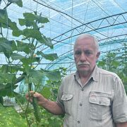 ���������� �������, ���� ������� �������, 61 ���, ������������ ��� c�������� ���������