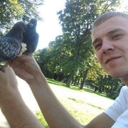 ���������� ����, ���� ������� Vitalik, 37 ���, ������������ ��� ������, ����� � ���������, c�������� ���������