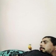 Algiers,   Fethizirg, 43 ,   ,   , c 