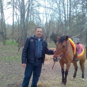  ,   Petor, 65 ,   