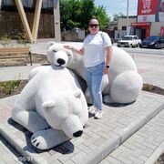 ���������� ������, ���� ������� ��������, 43 ����, ������������ 