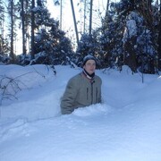 ���������� ��������, ���� ������� �������, 37 ���, ������������ ��� ������, ����� � ���������