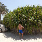 ���������� ����, ���� ������� EMIN, 47 ���, ������������ ��� ������