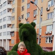 ���������� ����, ���� ������� �������, 52 ����, ������������ ��� ������, ����� � ���������, c�������� ���������