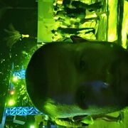  Vaihingen an der Enz,   , 35 ,     , c 