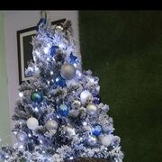 ���������� �����-���������, ���� ������� �����, 39 ���, ������������ ��� ������, ����� � ���������, c�������� ���������