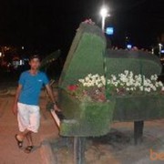  ,  armen, 36
