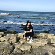 ���������� ������, ���� ������� ����, 31 ���, ������������ ��� ������, ����� � ���������, c�������� ���������