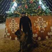 ���������� ������, ���� ������� �������, 38 ���, ������������ ��� ������, ����� � ���������, c�������� ���������