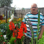  ,   , 61 ,     , c 